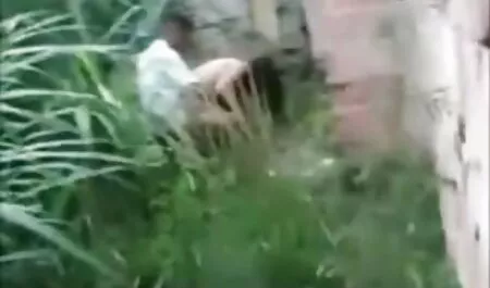 दो बीएफ सेक्सी फिल्में मूवी लोग सभी छेदों में एक सेक्सी गोरा पाउंड करते हैं