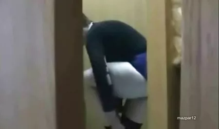 रेडहेड क्रोएशियाई बीएफ सेक्सी मूवी वीडियो में उसकी प्यारी बिल्ली की देखभाल करता है
